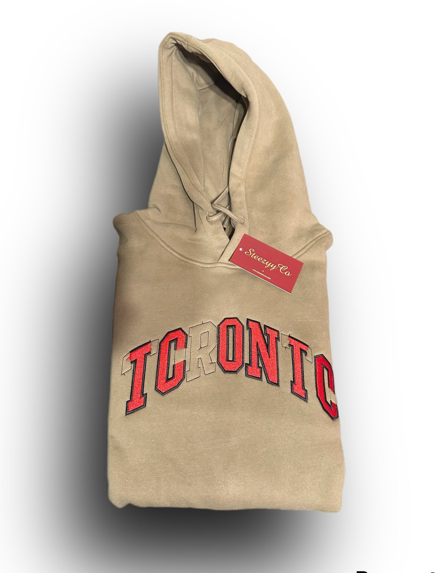 Toronto / Iconic Hoodie